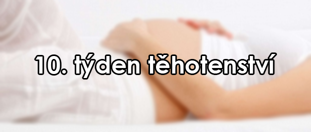 10. týden těhotenství