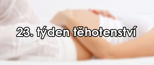 23. týden těhotenství